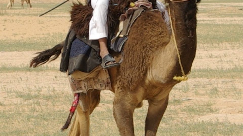 Ahmad, pastevec z kmene Saadíja, ze kterého pocházela i kojná proroka MOhameda