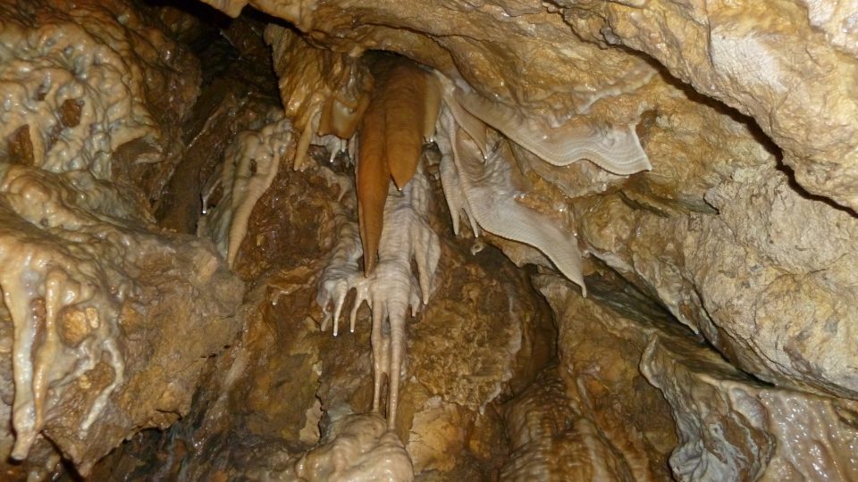 Bozkovské dolomitové jeskyně -krasové jevy