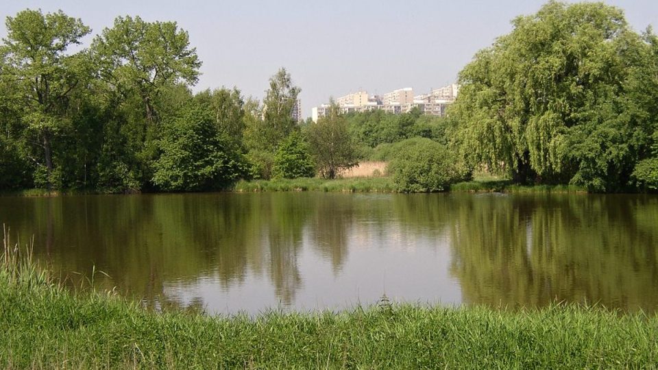 Milíčovský rybník, dříve Nový 
