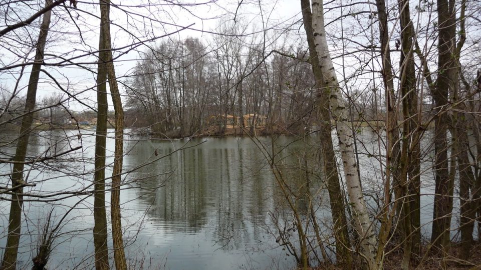 Rybník Vrah má uprostřed ostrůvek