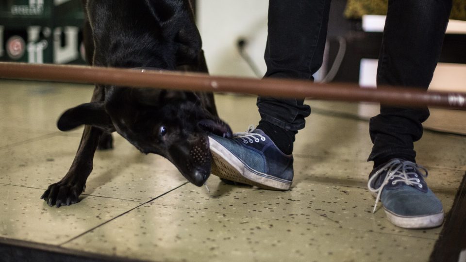 Producentský workshop Kreatonu pod vedením Bonuse aka Martina Tvrdého 03107698.jpeg