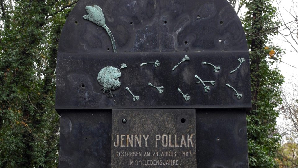 Rozfoukané chmýří pampelišky na židovském hřbitově v Praze Olšanech