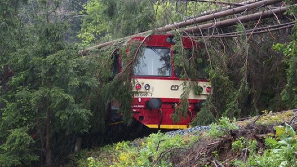 Spadlé stromy zastavily provoz na železniční trati mezi Hanušovicemi a Starým Městem