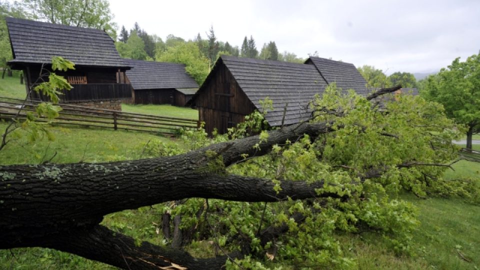 V areálu Valašského muzea v přírodě spadly kvůli podmáčené půdě a větru dvě desítky stromů