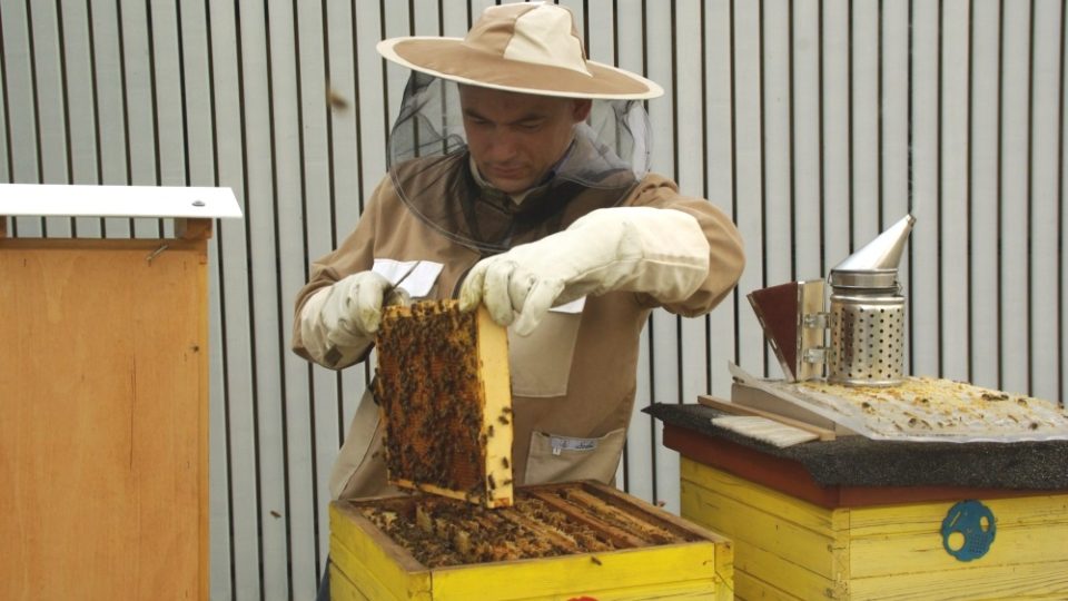 Univerzita Tomáše Bati ve Zlíně sklidila první med