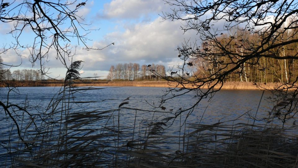 Naučná stezka Velký Lomnický - rybník