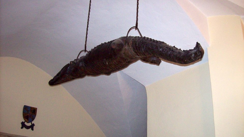 Vycpaný krokodýl u stropu