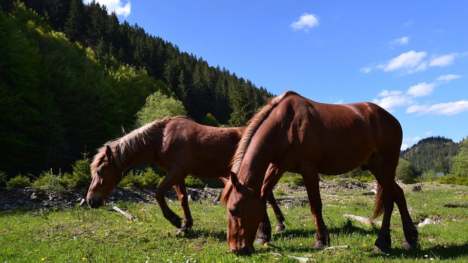 Z výletu na Strombu 1719m – nejvyšší hora Siněvirského národního parku