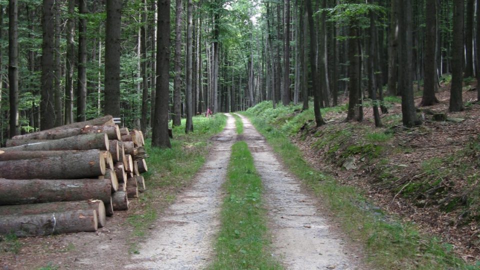 Cesta na Slunečnou Cesta na Slunečnou