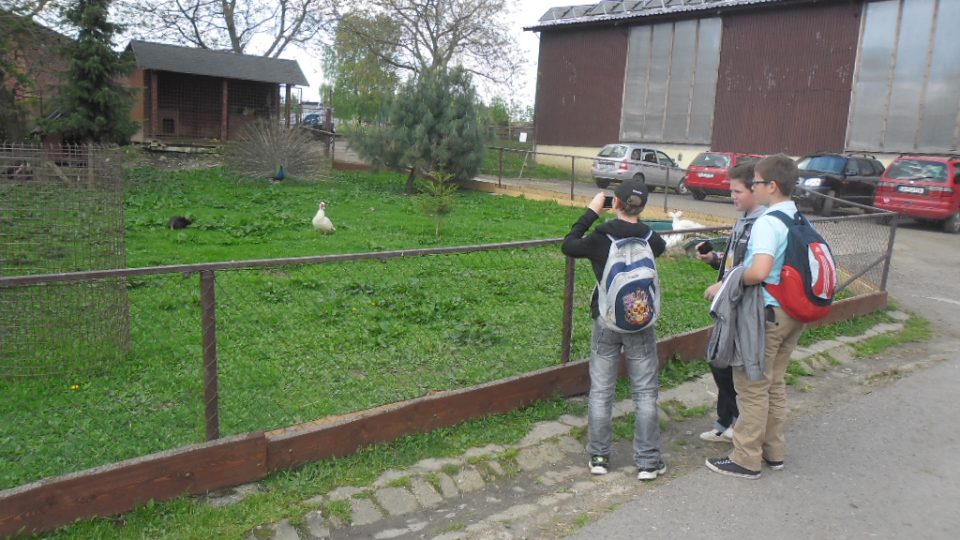 Do výletního areálu v pěnčíně často míří za zvířaty i pražské děti
