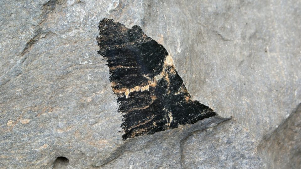 Detail vystavoveného kamene v geologické expozici