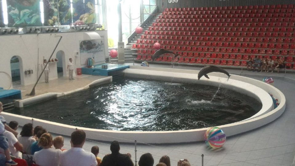 Delfinárium ve Varně patří mezi turistická lákadla