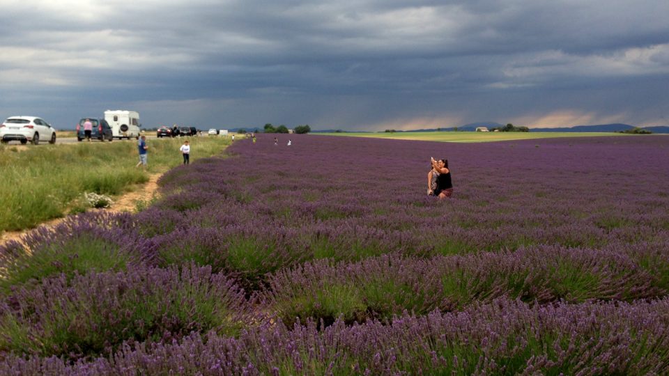 Kdo by odolal a neodvezl si z Provence suvenýr v podobě portrétu v záplavě levandule