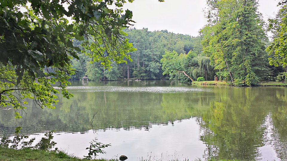 Jezero v zámeckém parku nesmělo chybět, v Heřmanově Městci styl tzv. anglického parku