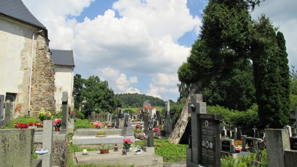 Velhartický hřbitov s jedním energií vykloněných stromů