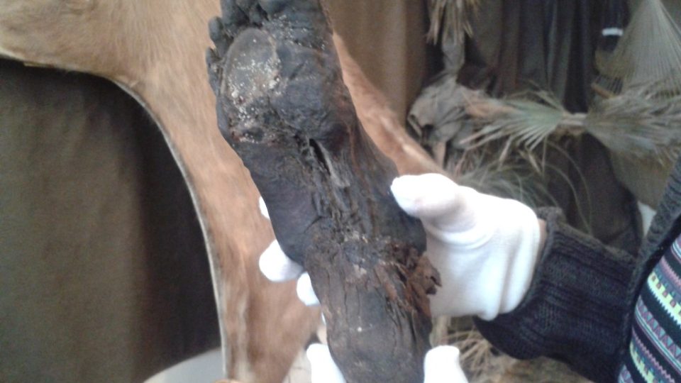 Noha jedné z mumií