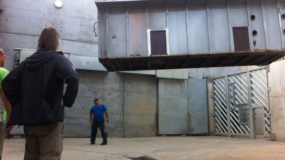 Do Zoo Praha dorazil nový sloní samec Ankhor