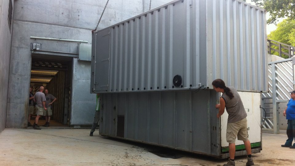 Do Zoo Praha dorazil nový sloní samec Ankhor