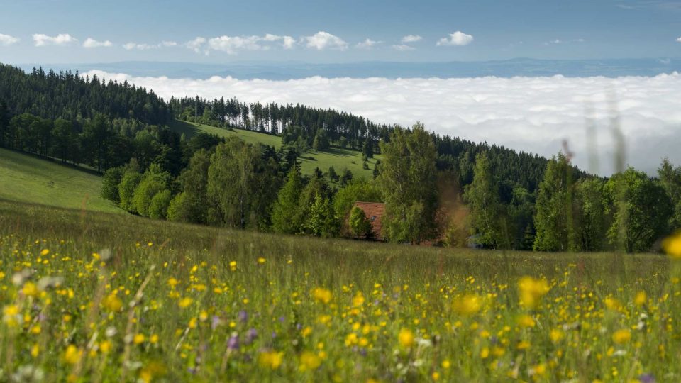 Panoráma Krušných hor