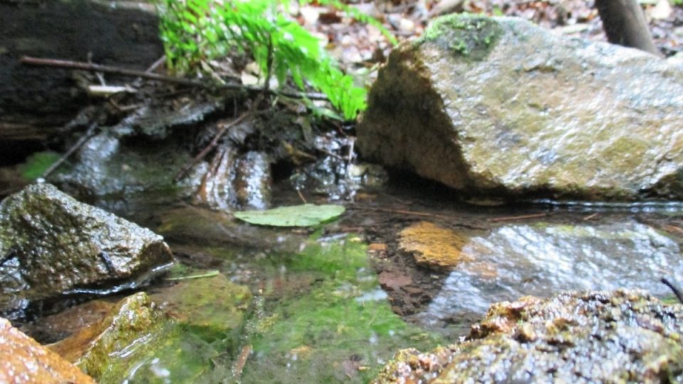 Znám křišťálovou studánku