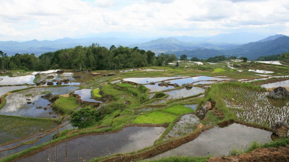 Výhled z Tana Toraja. Cestou z Palawy do hor Batutomonga