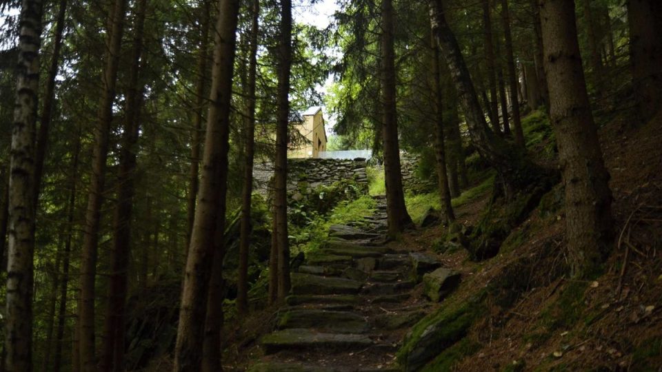 Cesta k lesnímu hrádku Aichelburg