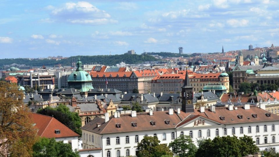 Vinice, i když v centru metropole, se musí stále obhospodřovat