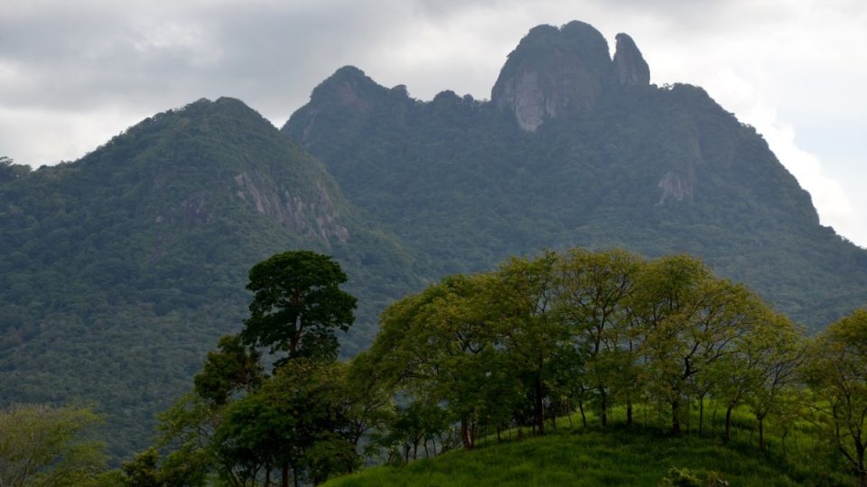 Panamská džungle je bohatá na faunu i flóru
