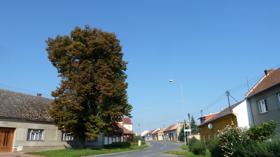 Vrahovice