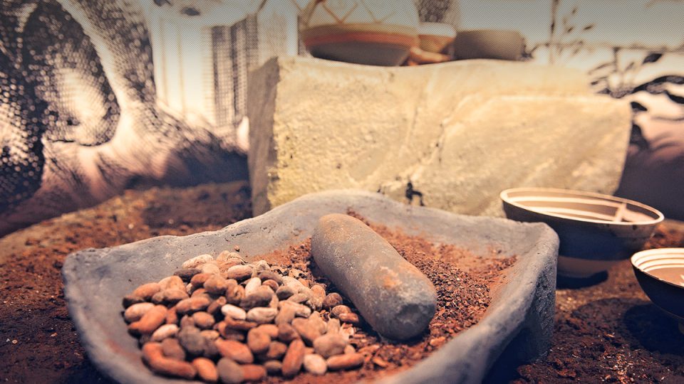 Prášek z kakaových bobů – čokoláda v surovém stavu