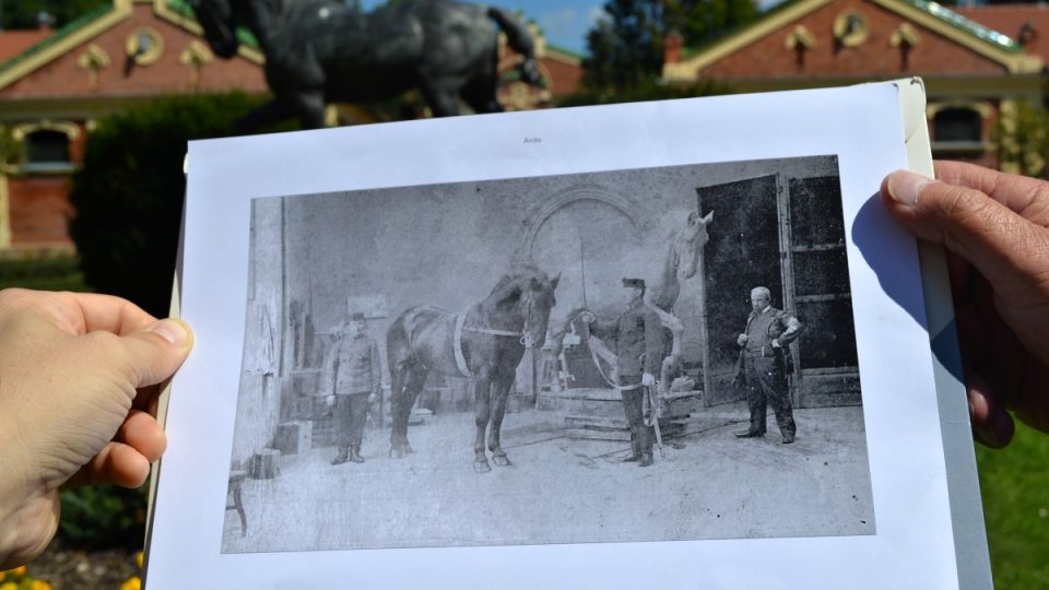 Hřebec Ardo stojí modelem Josefu Václavu Myslbekovi, tuto fotografii si v hřebčinci v Písku chovají jako poklad