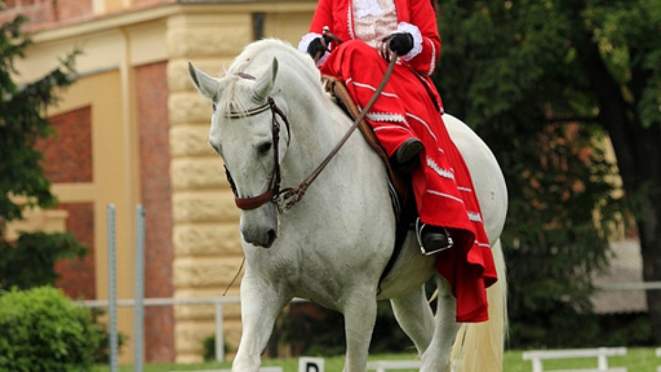 V areálu hřebčince pořádají závody i členky společnost Dámy v sedle