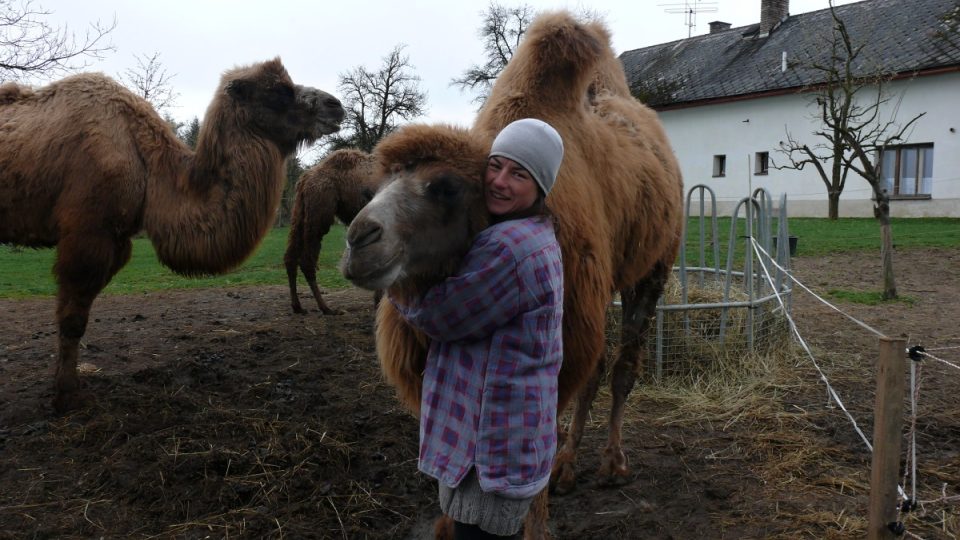 Žaneta Krátošková na velbloudí farmě