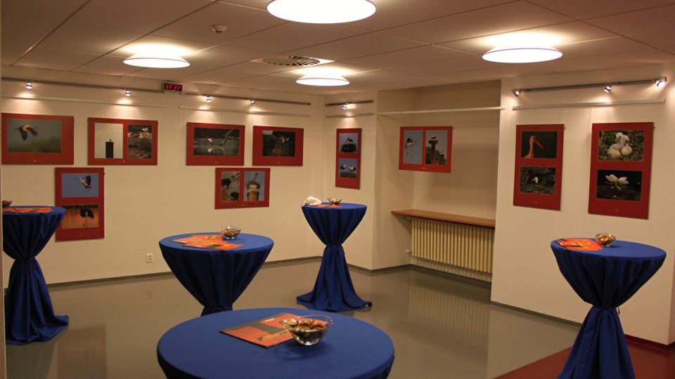 Výstava Čápi 2014 těsně před otevřením