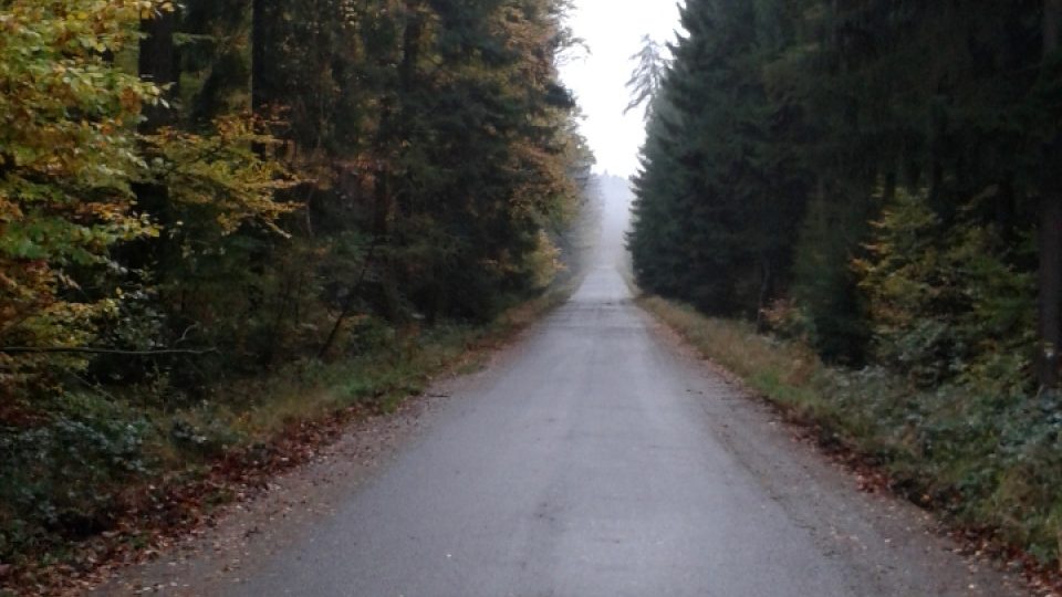 Sen každého cyklisty - široká silnice lesem bez provozu