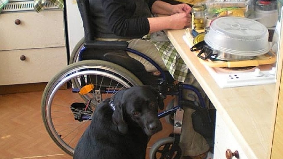 Fotografie secvičování Petry Hlisnikovské s asistenčním psem Emou