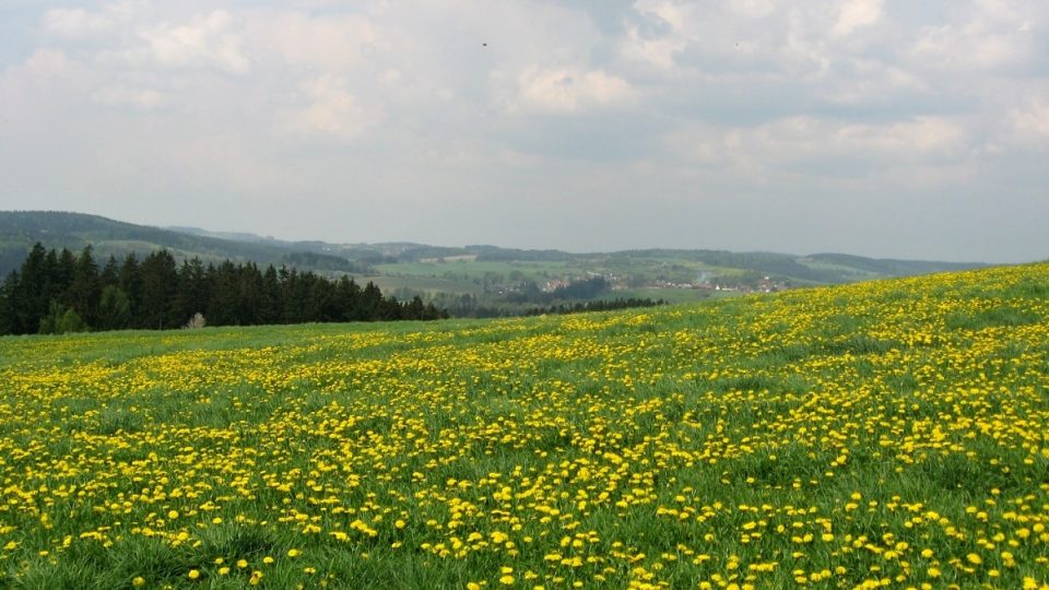 Pohled na krajinu u Vyskytné nad Jihlavou