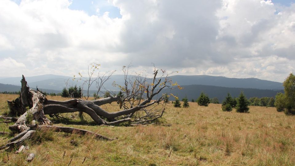 Fotografie z výpravy s průvodcem divočinou