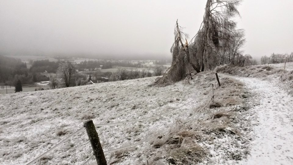 Pilníkářská stezka na Českém kopci