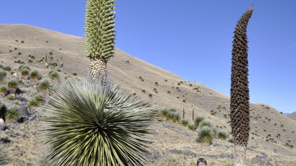 Peru: NP Huascarán