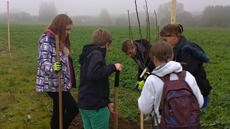 Děti ze ZŠ v Zásmukách zasadily větší stromky