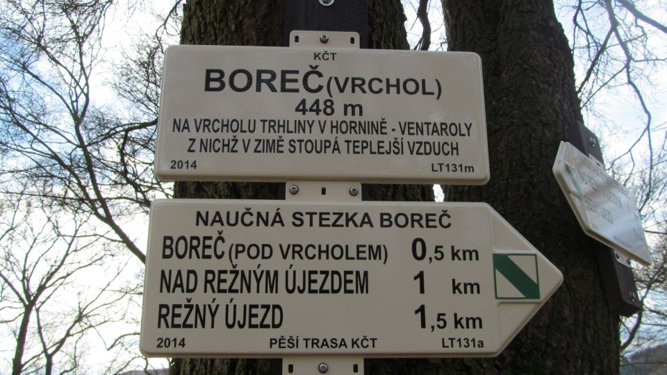 Boreč - vrchol