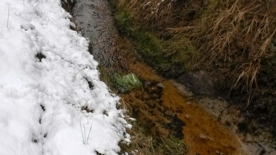 Naučná stezka Borovice lánská