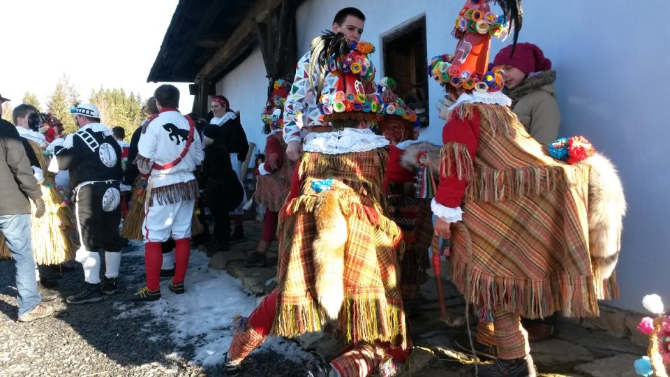 Masopust na Veselém kopci - Kobylky se občerstvují