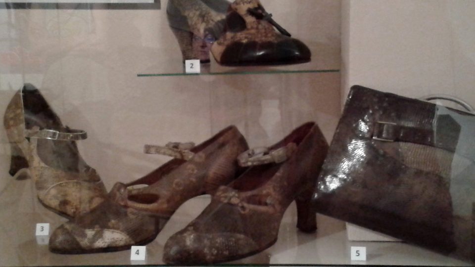 Boty z hadí a krokodýlí kůže