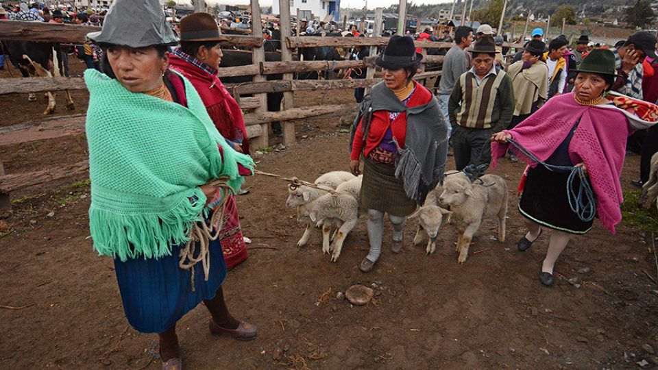 Tradiční trhy, Ekvádor