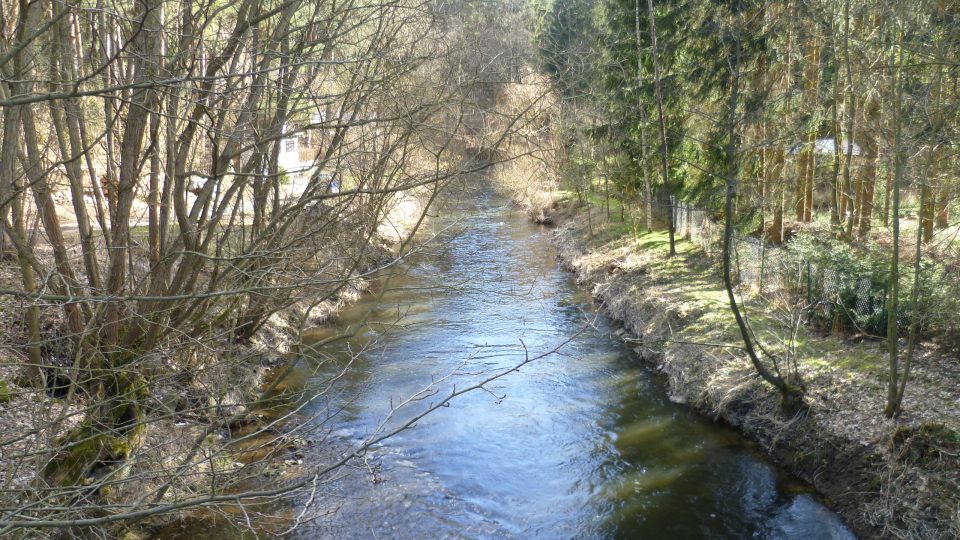 Řeka Jihlava u Dvorců