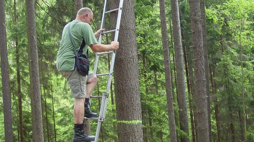 Zoologové rozmístili v Javořích horách 150 ptačích budek určených pro dravce.