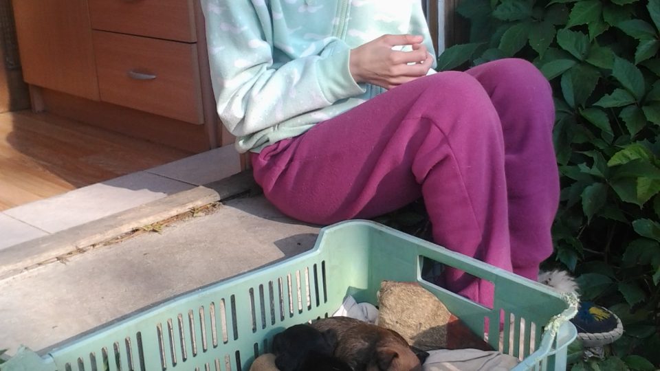 Veronika s nově narozenými štěnátky