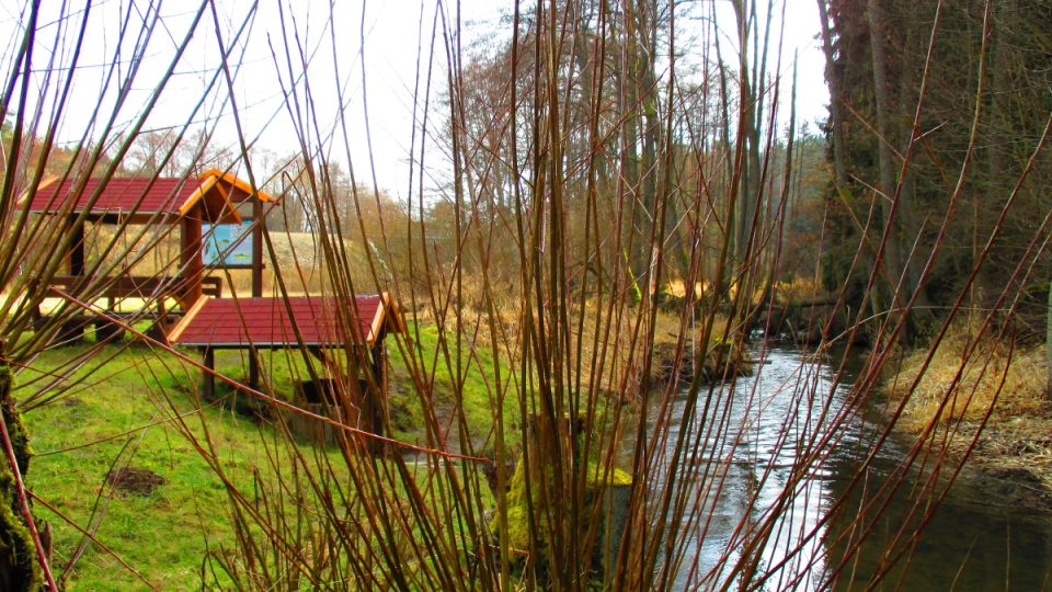 Studánka lásky u Hadovky